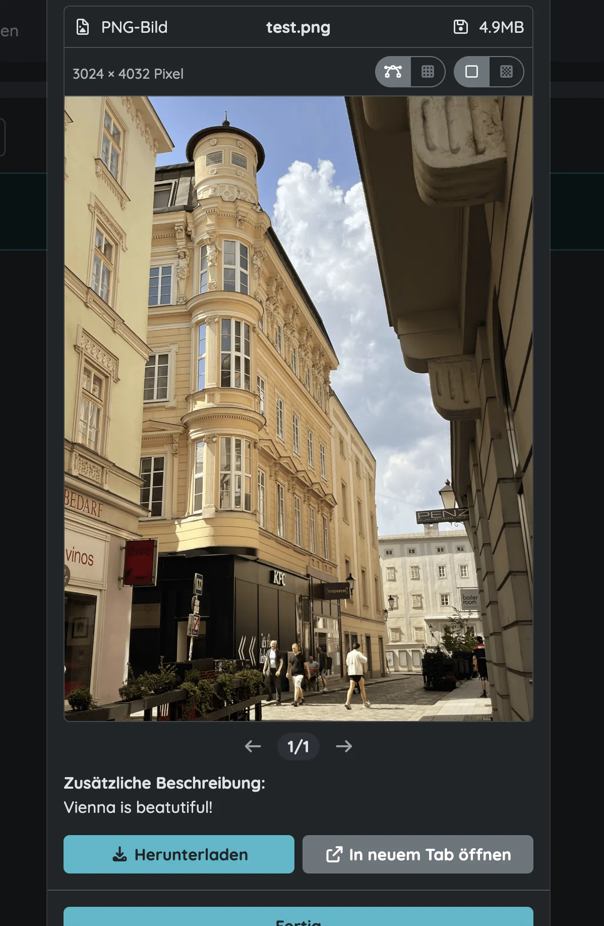 In-browser viewer showing an uploaded photo with a description field, download and open-in-new-tab options